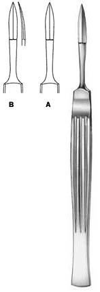 Rhinology