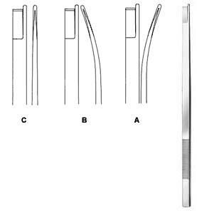 Rhinology