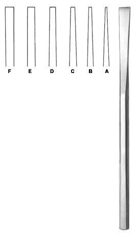 Rhinology