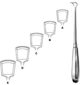 Rhinology