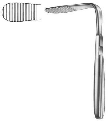 Oral Instruments — Surgical Sialkot Pakistan Pintech