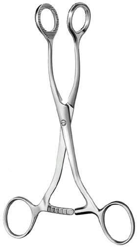 Oral Instruments — Surgical from Sialkot Pakistan by Pintech Instruments