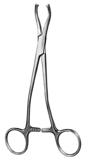 Oral Instruments — Surgical Sialkot Pakistan Pintech
