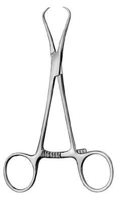 Oral Instruments — Surgical Sialkot Pakistan Pintech