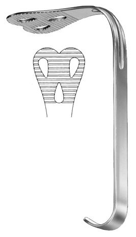 Oral Instruments — Surgical Sialkot Pakistan Pintech