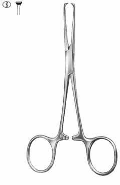 Intestines & Stomach  — Surgical Sialkot Pakistan Pintech