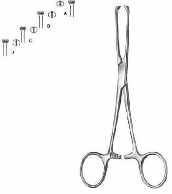 Intestines & Stomach  — Surgical Sialkot Pakistan Pintech
