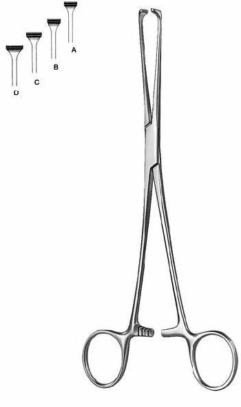Intestines & Stomach  — Surgical Sialkot Pakistan Pintech