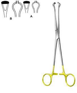 Intestines & Stomach  — Surgical Sialkot Pakistan Pintech