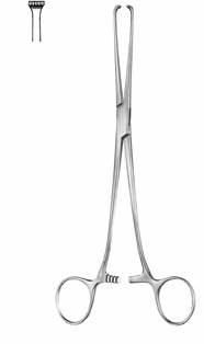 Intestines & Stomach  — Surgical Sialkot Pakistan Pintech