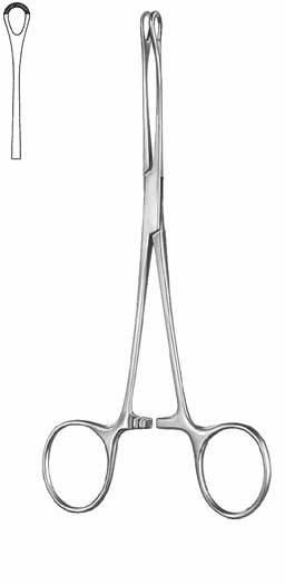 Intestines & Stomach  — Surgical from Sialkot Pakistan by Pintech Instruments