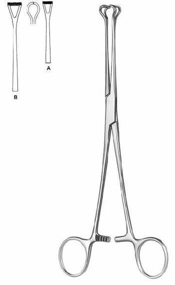 Intestines & Stomach  — Surgical Sialkot Pakistan Pintech