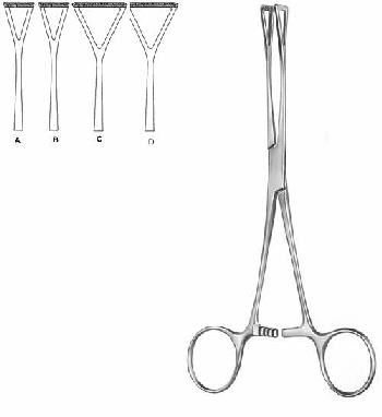 Intestines & Stomach  — Surgical Sialkot Pakistan Pintech