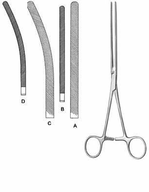 Intestines & Stomach  — Surgical Sialkot Pakistan Pintech