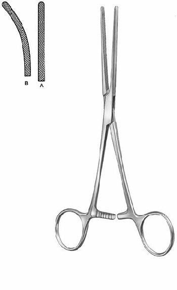 Intestines & Stomach  — Surgical Sialkot Pakistan Pintech