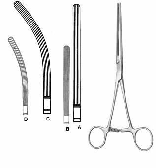 Intestines & Stomach  — Surgical Sialkot Pakistan Pintech