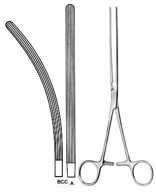 Intestines & Stomach  — Surgical Sialkot Pakistan Pintech