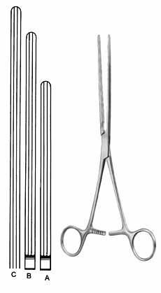 Intestines & Stomach  — Surgical from Sialkot Pakistan by Pintech Instruments