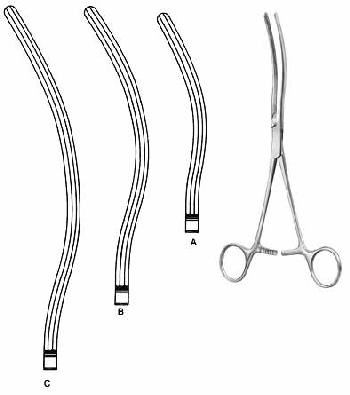Intestines & Stomach  — Surgical Sialkot Pakistan Pintech