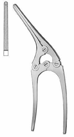 Intestines & Stomach  — Surgical Sialkot Pakistan Pintech
