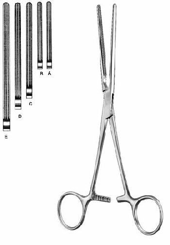 Intestines & Stomach  — Surgical Sialkot Pakistan Pintech