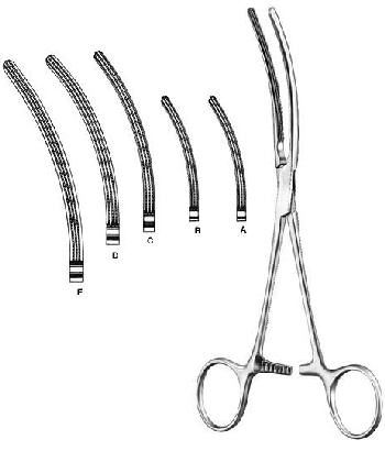 Intestines & Stomach  — Surgical Sialkot Pakistan Pintech