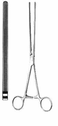 Intestines & Stomach  — Surgical Sialkot Pakistan Pintech