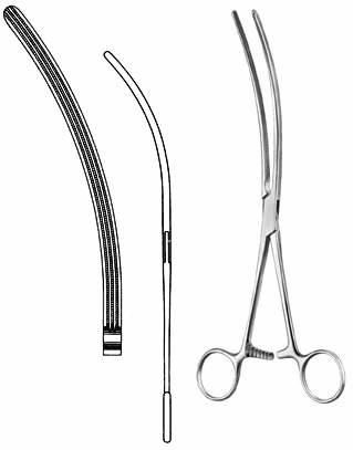 Intestines & Stomach  — Surgical Sialkot Pakistan Pintech