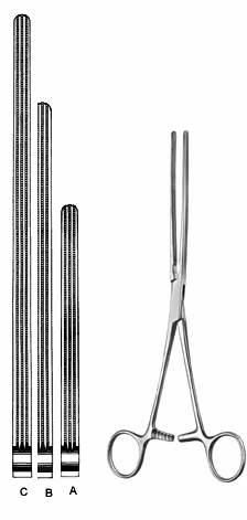 Intestines & Stomach  — Surgical from Sialkot Pakistan by Pintech Instruments