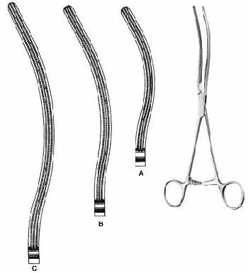 Intestines & Stomach  — Surgical Sialkot Pakistan Pintech