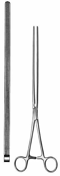 Intestines & Stomach  — Surgical Sialkot Pakistan Pintech