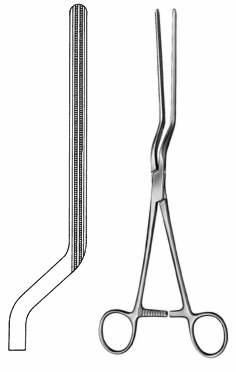 Intestines & Stomach  — Surgical from Sialkot Pakistan by Pintech Instruments