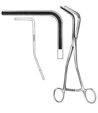 Intestines & Stomach  — Surgical Sialkot Pakistan Pintech