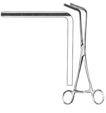 Intestines & Stomach  — Surgical from Sialkot Pakistan by Pintech Instruments