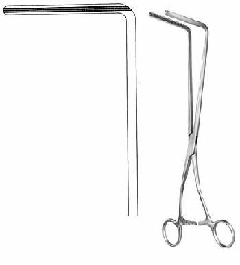 Intestines & Stomach  — Surgical Sialkot Pakistan Pintech