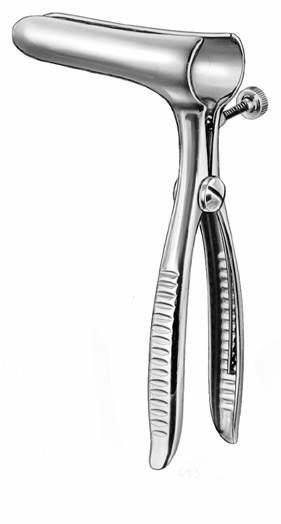 Intestines & Stomach  — Surgical Sialkot Pakistan Pintech