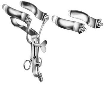 Intestines & Stomach  — Surgical Sialkot Pakistan Pintech