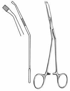 Intestines & Stomach  — Surgical Sialkot Pakistan Pintech