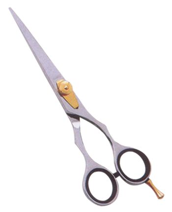 Professional Hair Cutting Scissors  — Beauty from Sialkot Pakistan by Pintech Instruments
