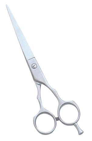 Barber & Dressing Scissors  — Beauty from Sialkot Pakistan by Pintech Instruments