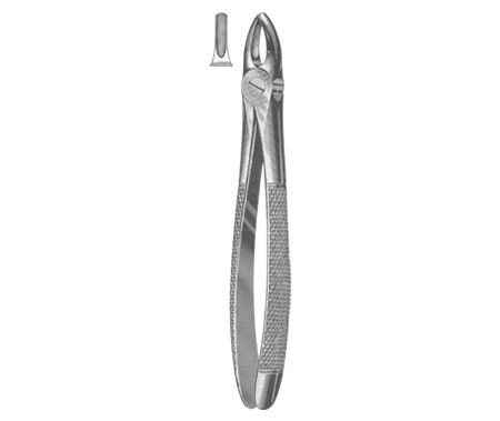Extracting Forceps English Pattern