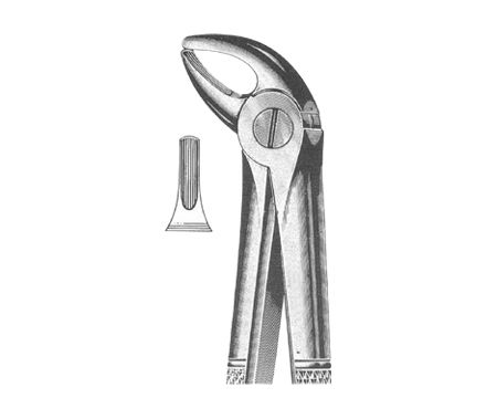 Extracting Forceps English Pattern