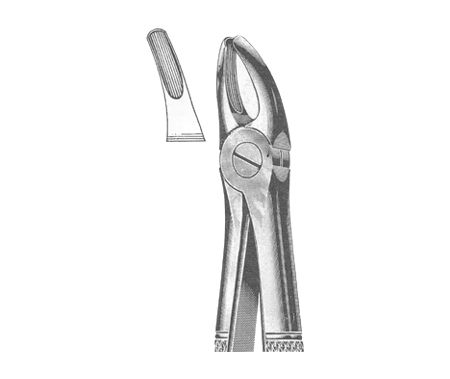 Extracting Forceps English Pattern