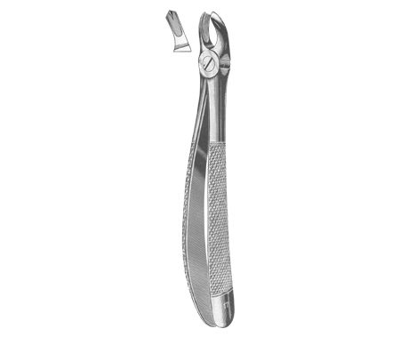 Extracting Forceps English Pattern