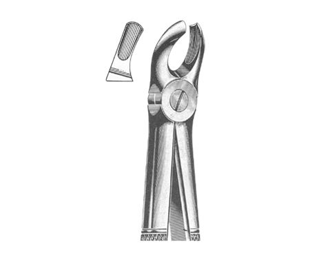 Extracting Forceps English Pattern