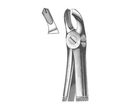 Extracting Forceps English Pattern