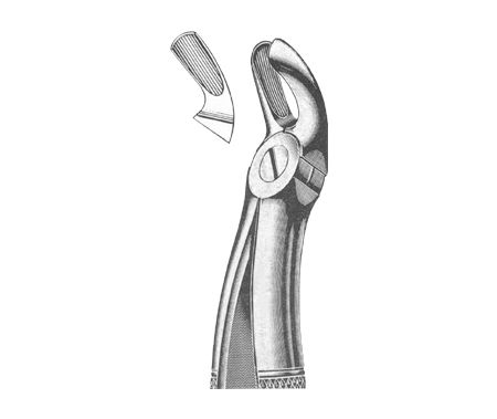 Extracting Forceps English Pattern
