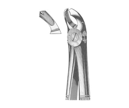 Extracting Forceps English Pattern