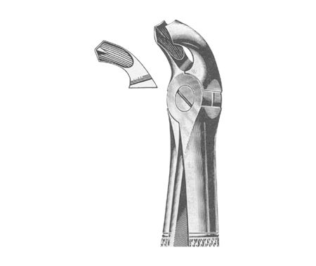 Extracting Forceps English Pattern