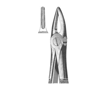 Extracting Forceps English Pattern